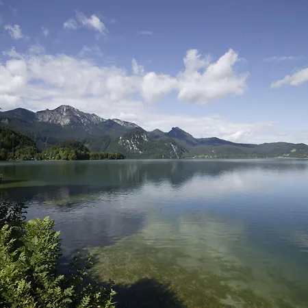 Отель Seehotel Grauer Baer 3*