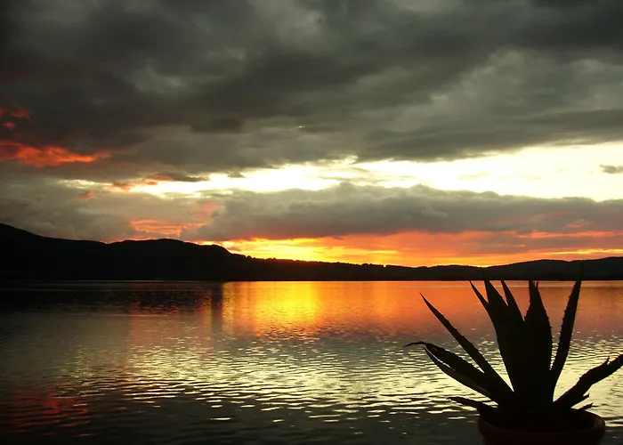 فندق Seehotel Grauer Baer 3*